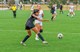 dsc03393_dxo_51758601254_o