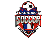 Bruce_Tower_Memorial_3v3_Logo_2023